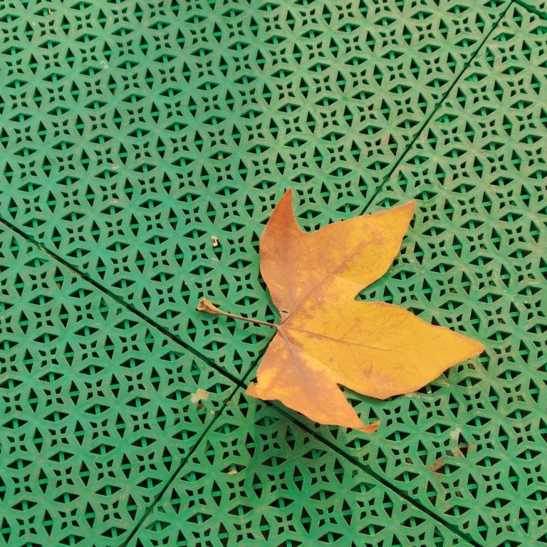 谁在回味旧事