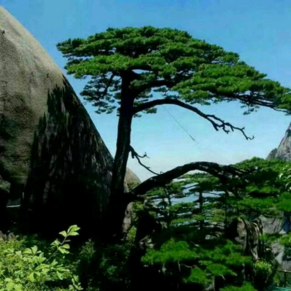 不必在乎我是谁🌹🌹🌹