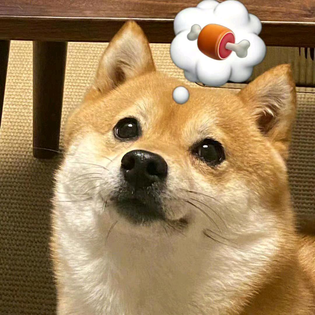 *雒哈哈🌈