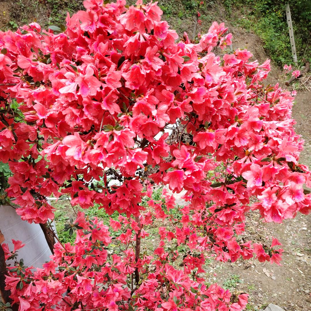 💞້໌ᮨ⃝拾ᨶ႒ᩚ来ᥫᩣ໌້ᮨ运转✨