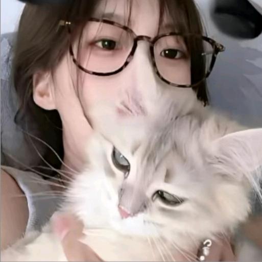 南桉