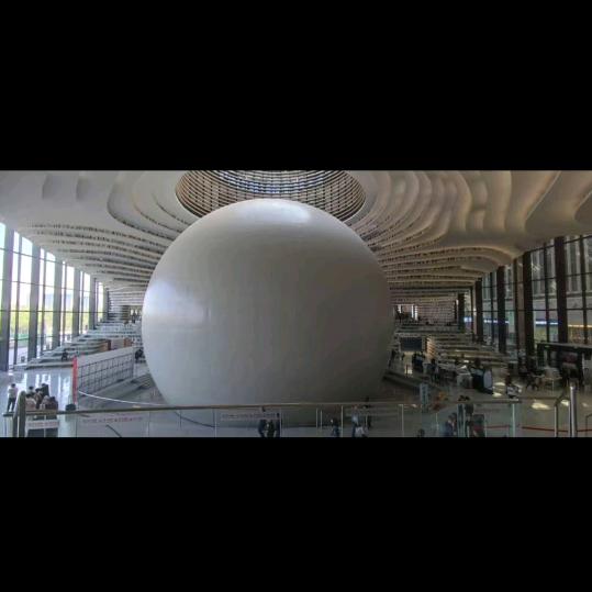 这货很懒名字不想起