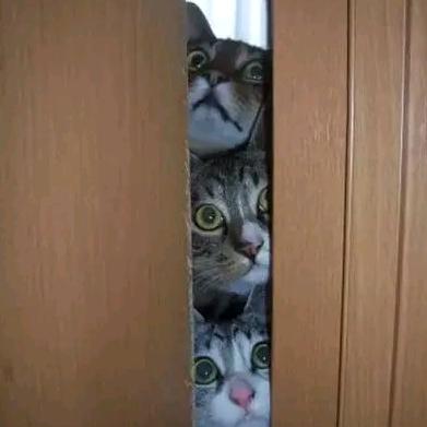 出来混要懂人情世故