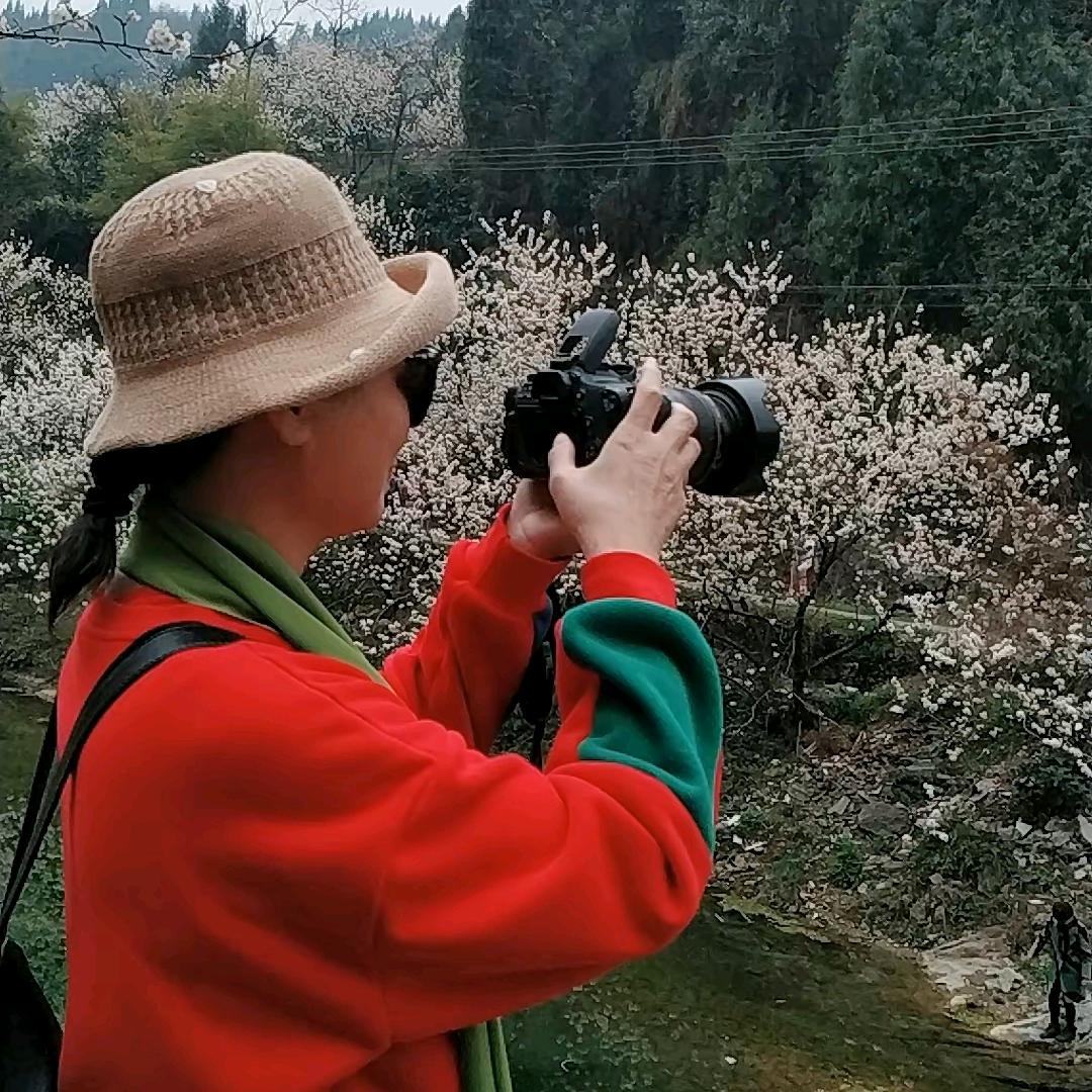 ୧⍤⃝🐷杨帆꒰ঌ🤍໒꒱起航⋆͛📢⋆