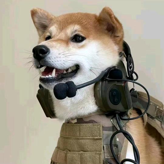 狼狗队长