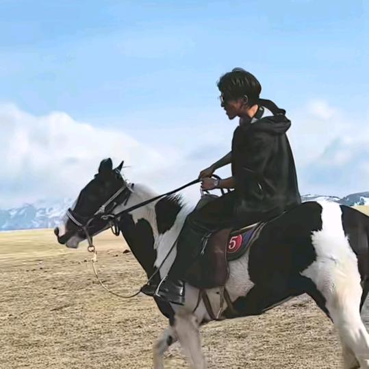 代理物流货物险-孙鹏飞