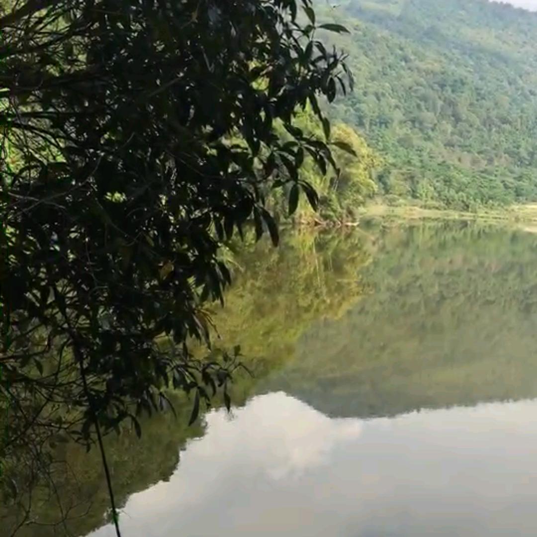 A🇨🇳千年之狐🇨🇳