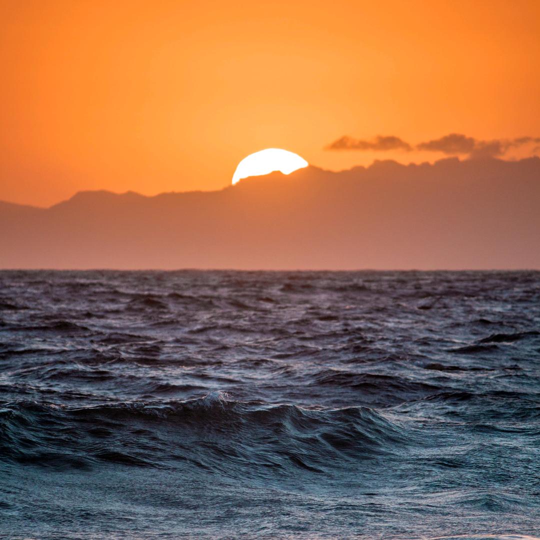 源的杨子🌊