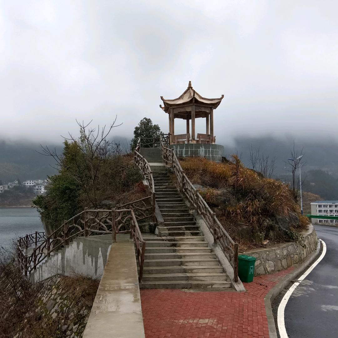 曾经的小伙伴