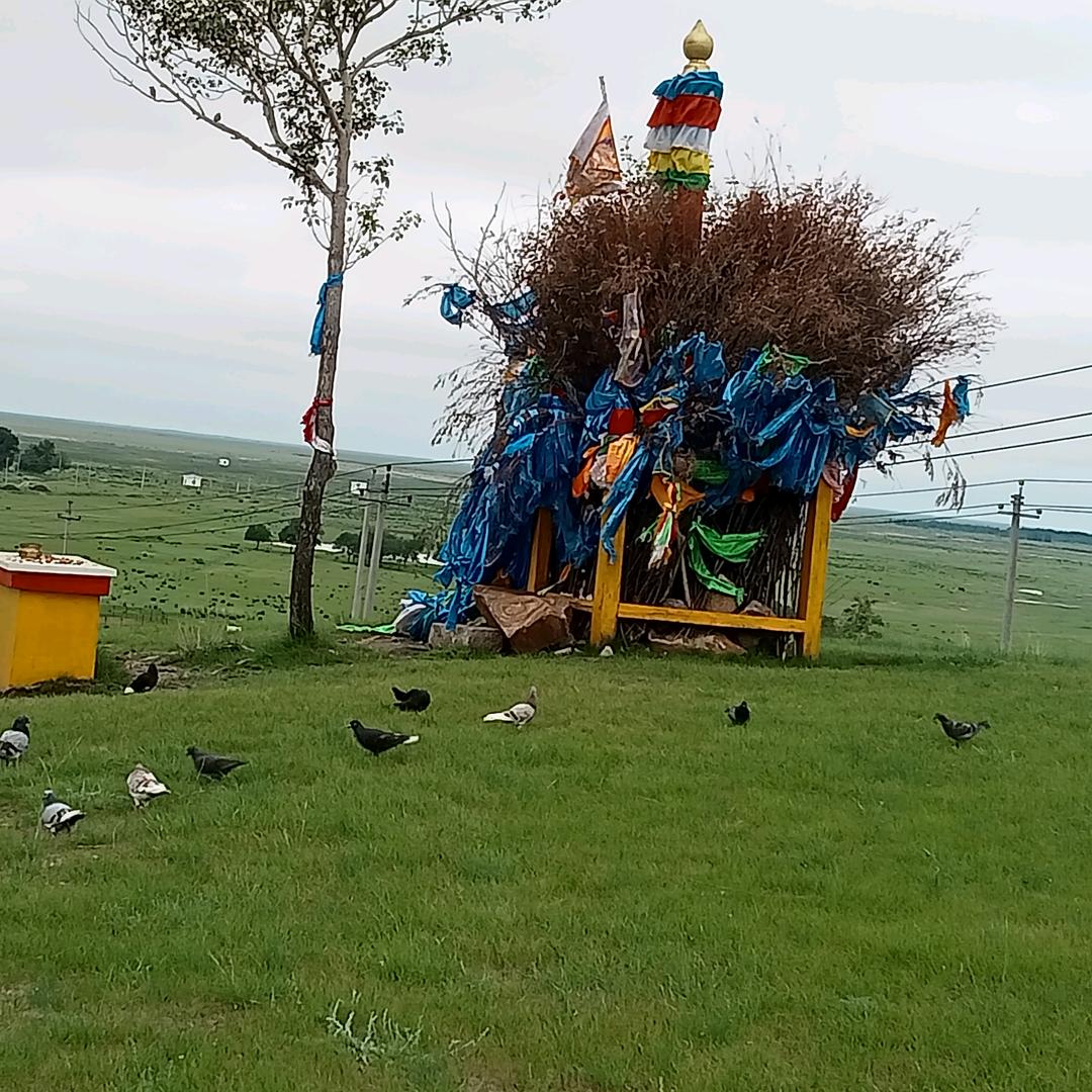 天天开心！