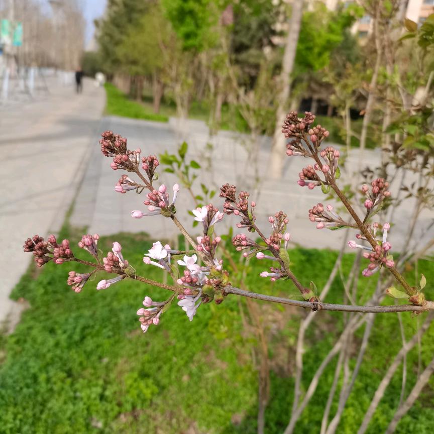 听不见 是非"の 看不见 黑白"