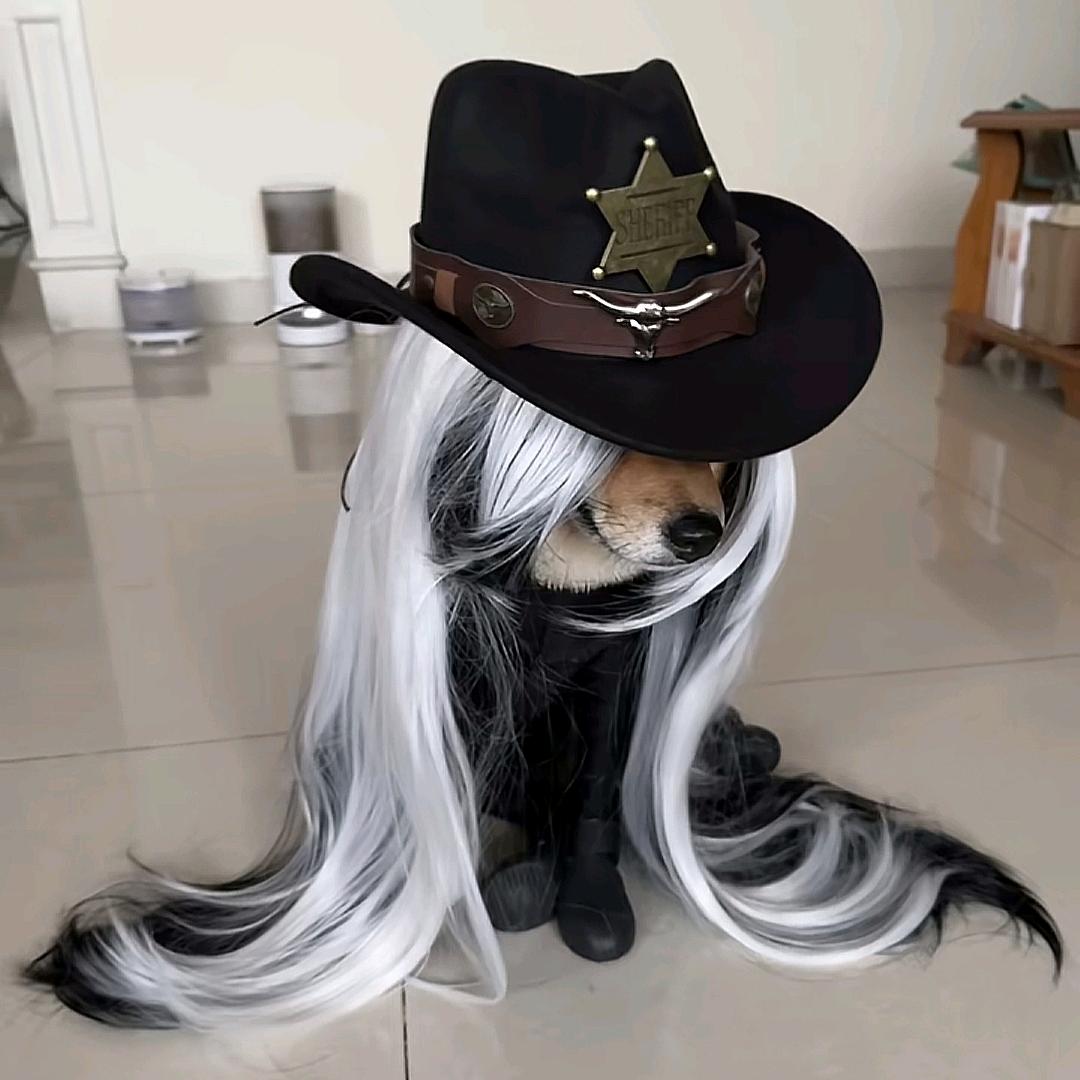 范总