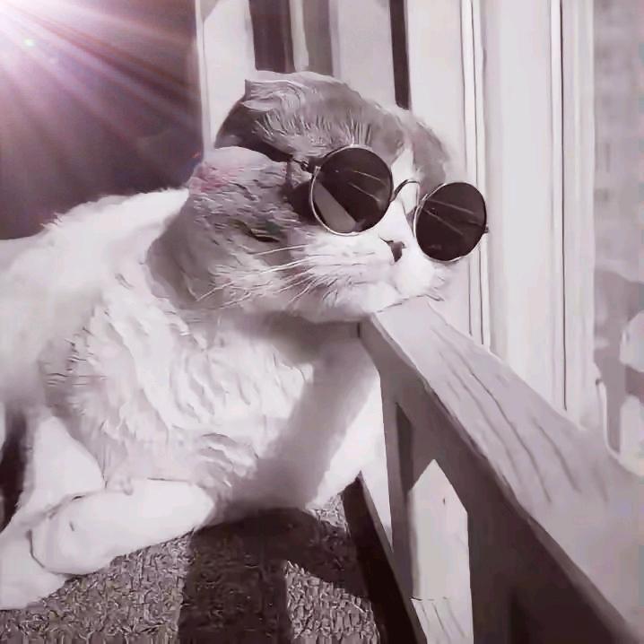 不，靠谱先森！