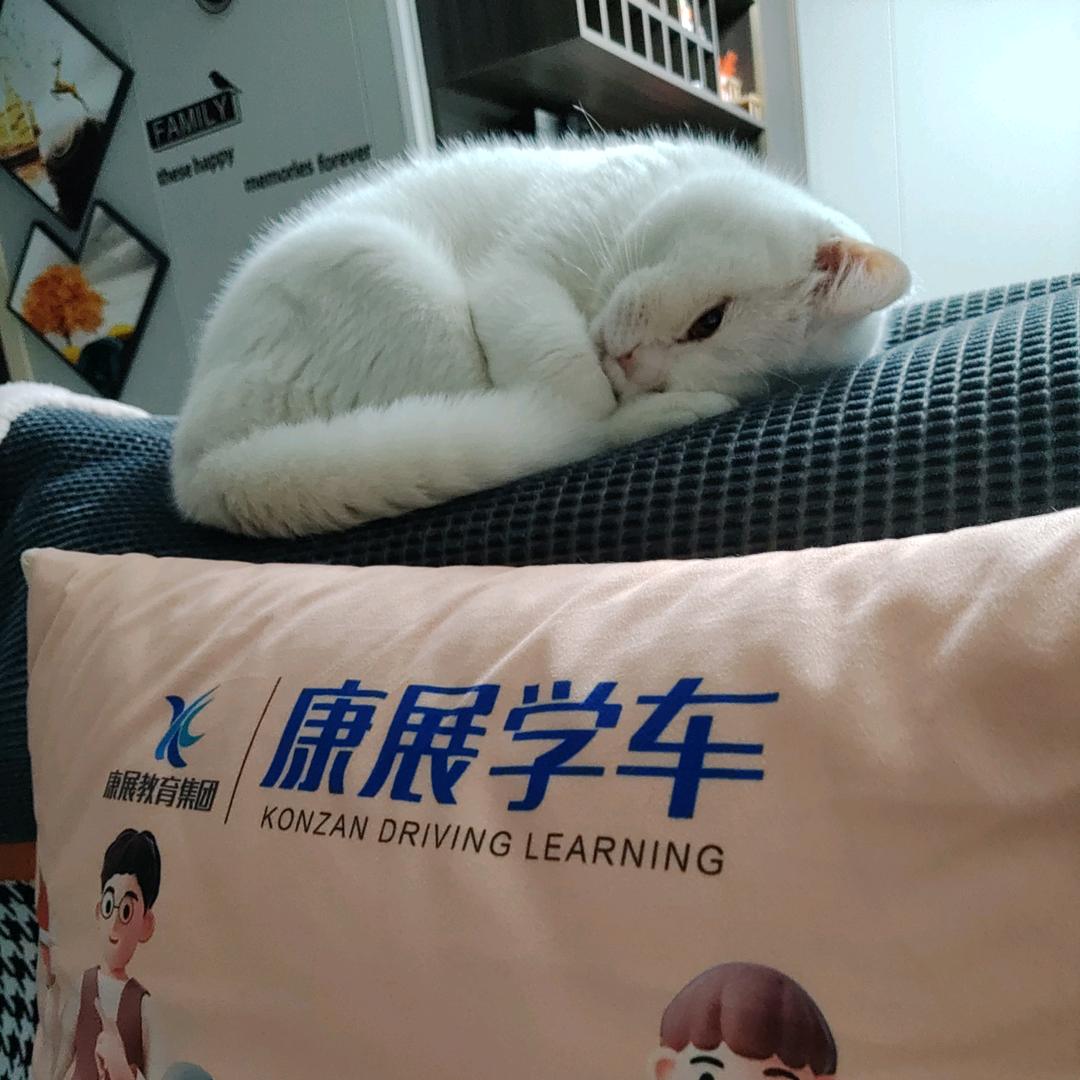 公交驾校根蛮
