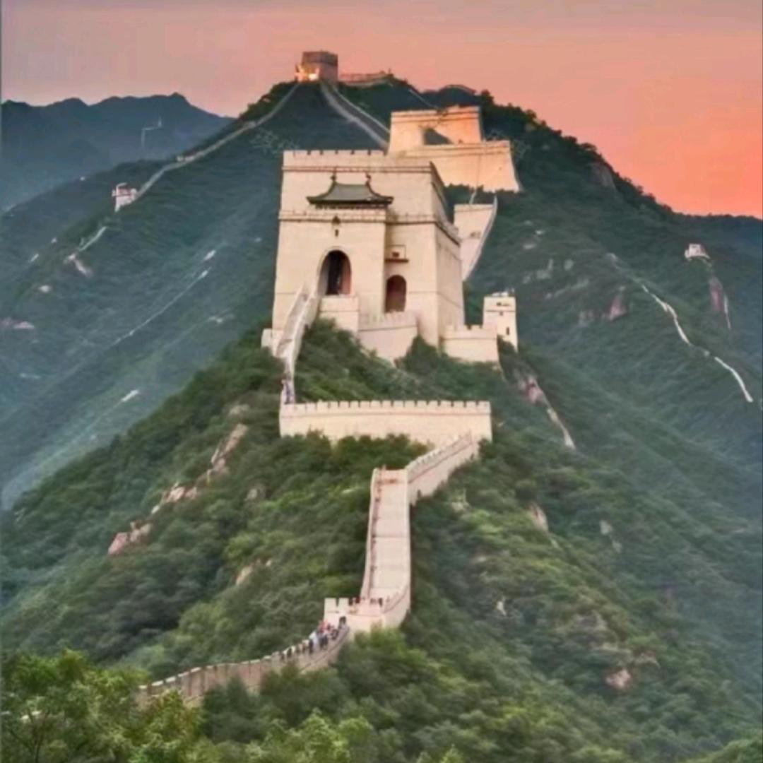 福利一号
