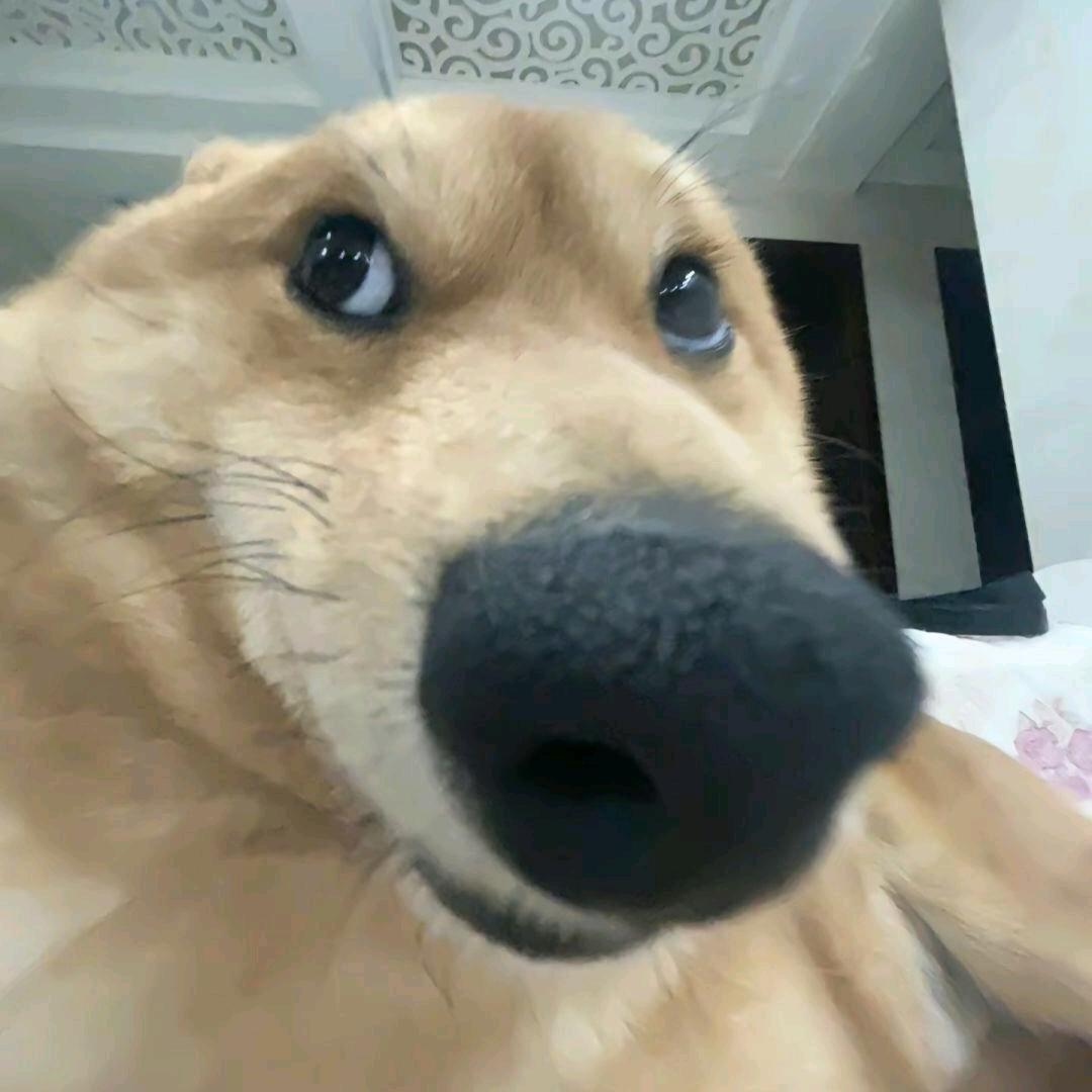 杰瑞