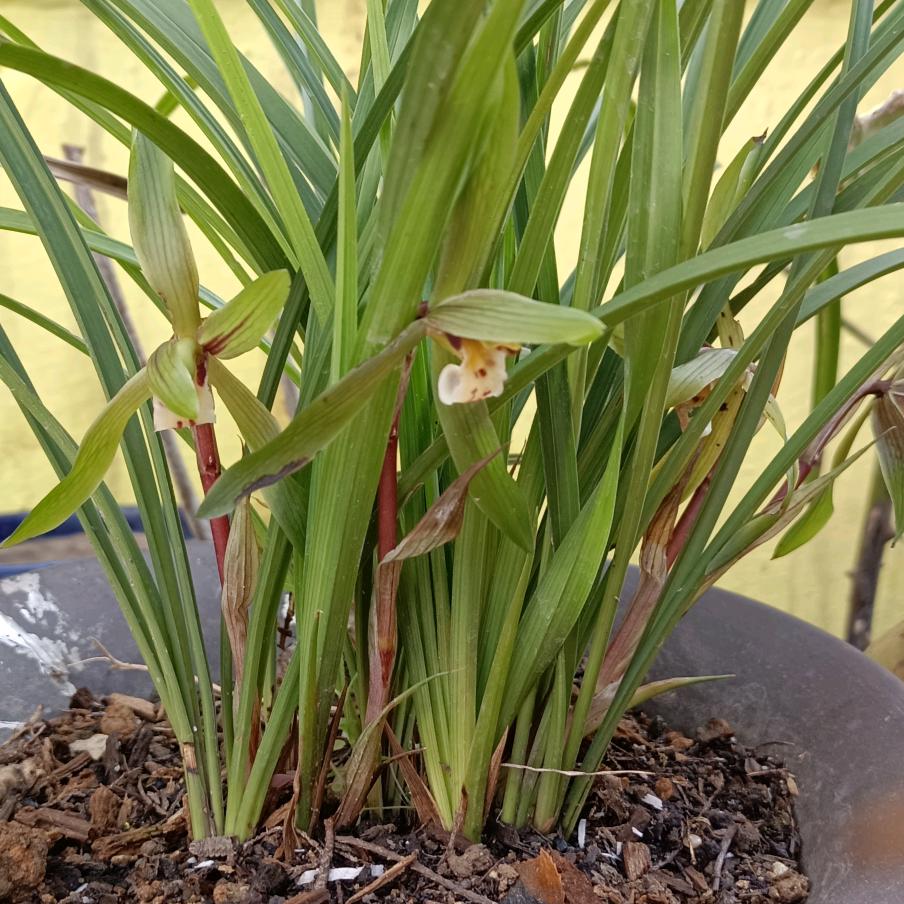 宁愿孤独也不将就