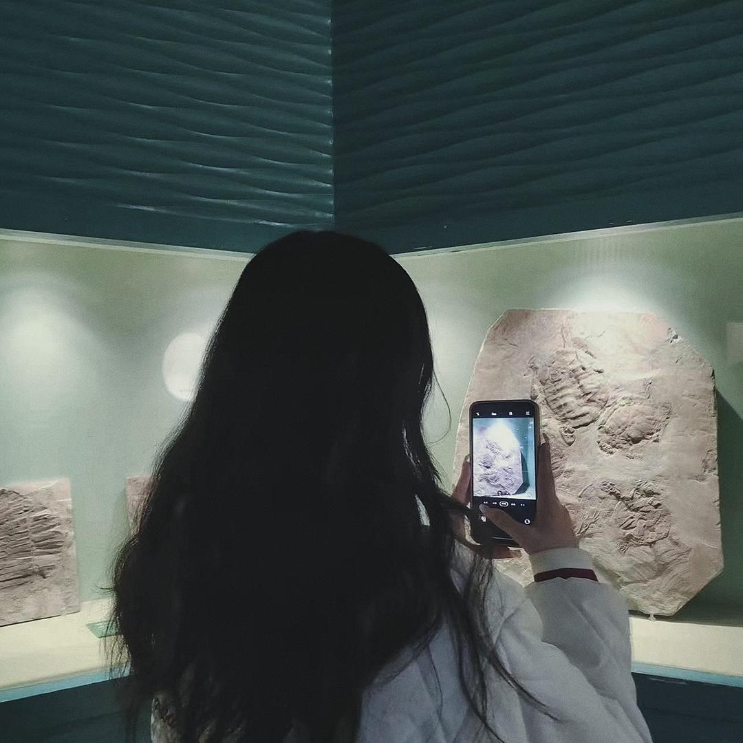 昭昭颂桉
