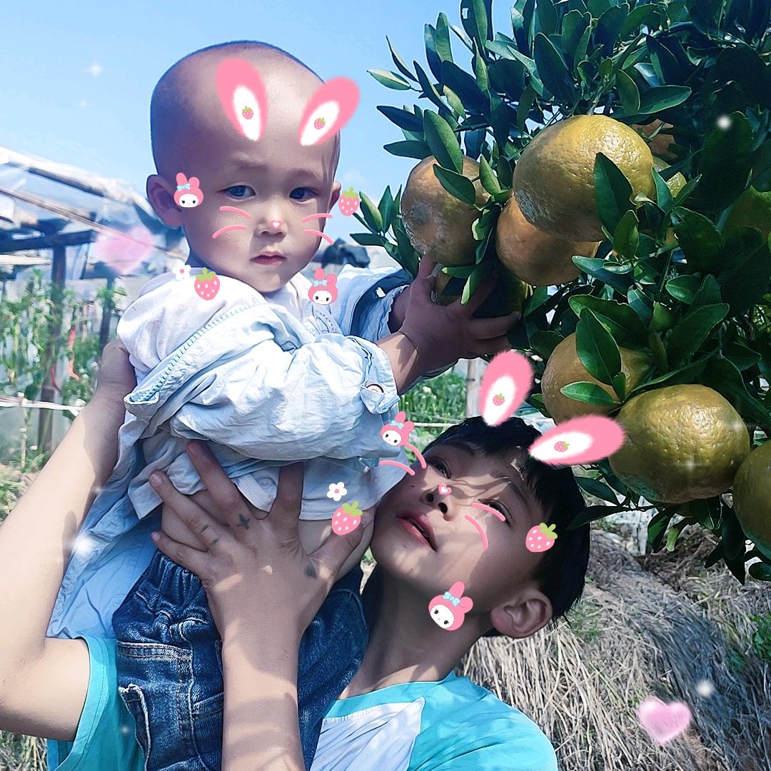 এ᭄熊 🌾ꦿ熊🐻爱🍀意࿐ᩚ