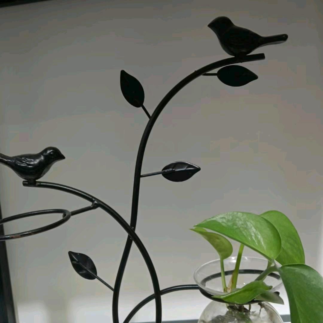 有你真好💍