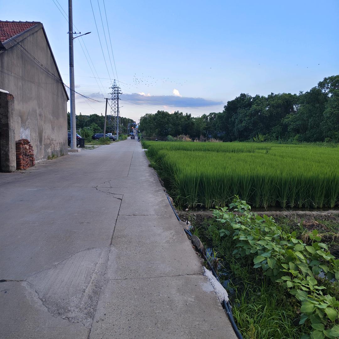 零点食分