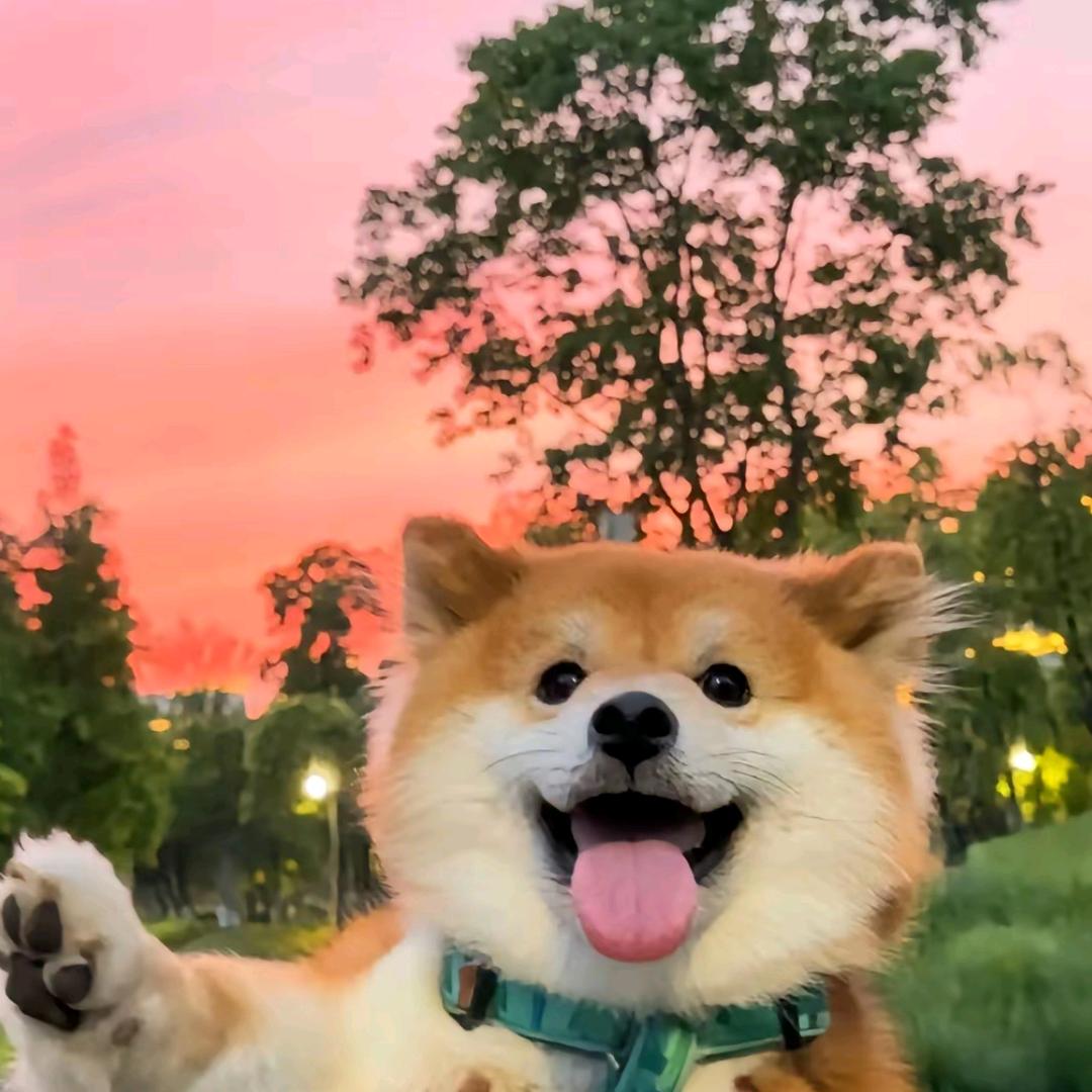 小生活