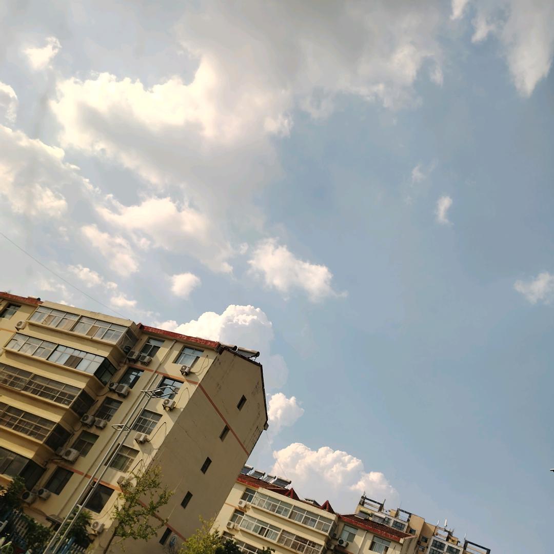 执行猎人强哥（收徒）