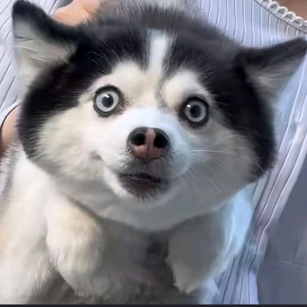 所谓你的无所谓🌊