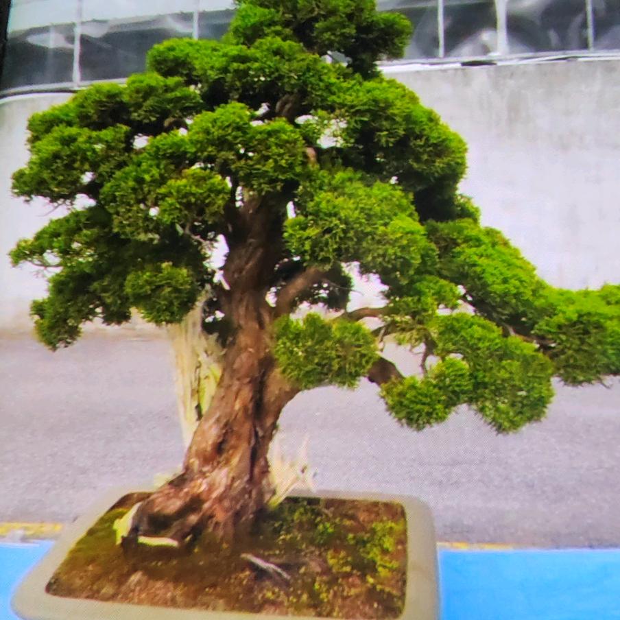 用户5794595676776
