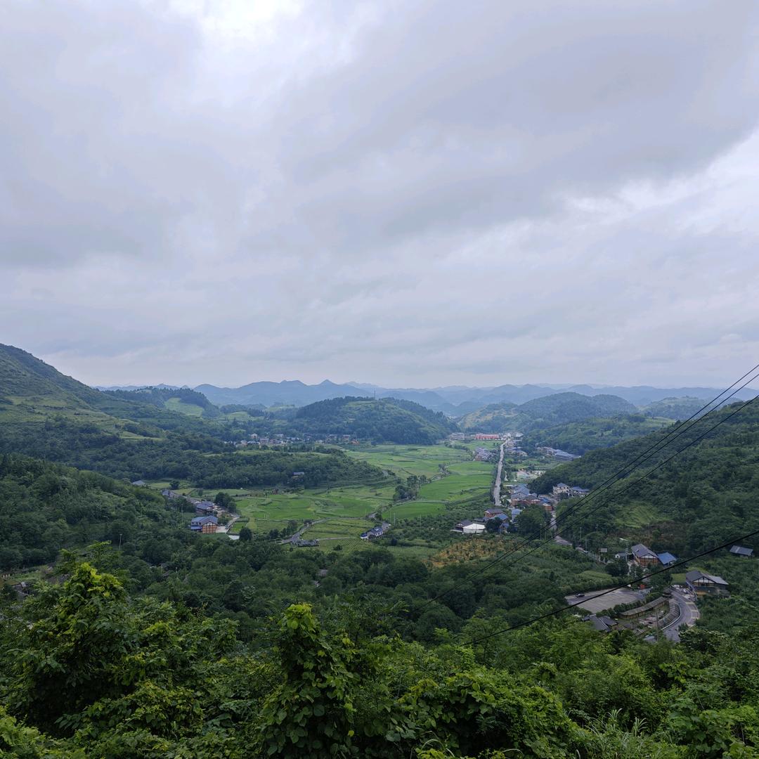 松松哥
