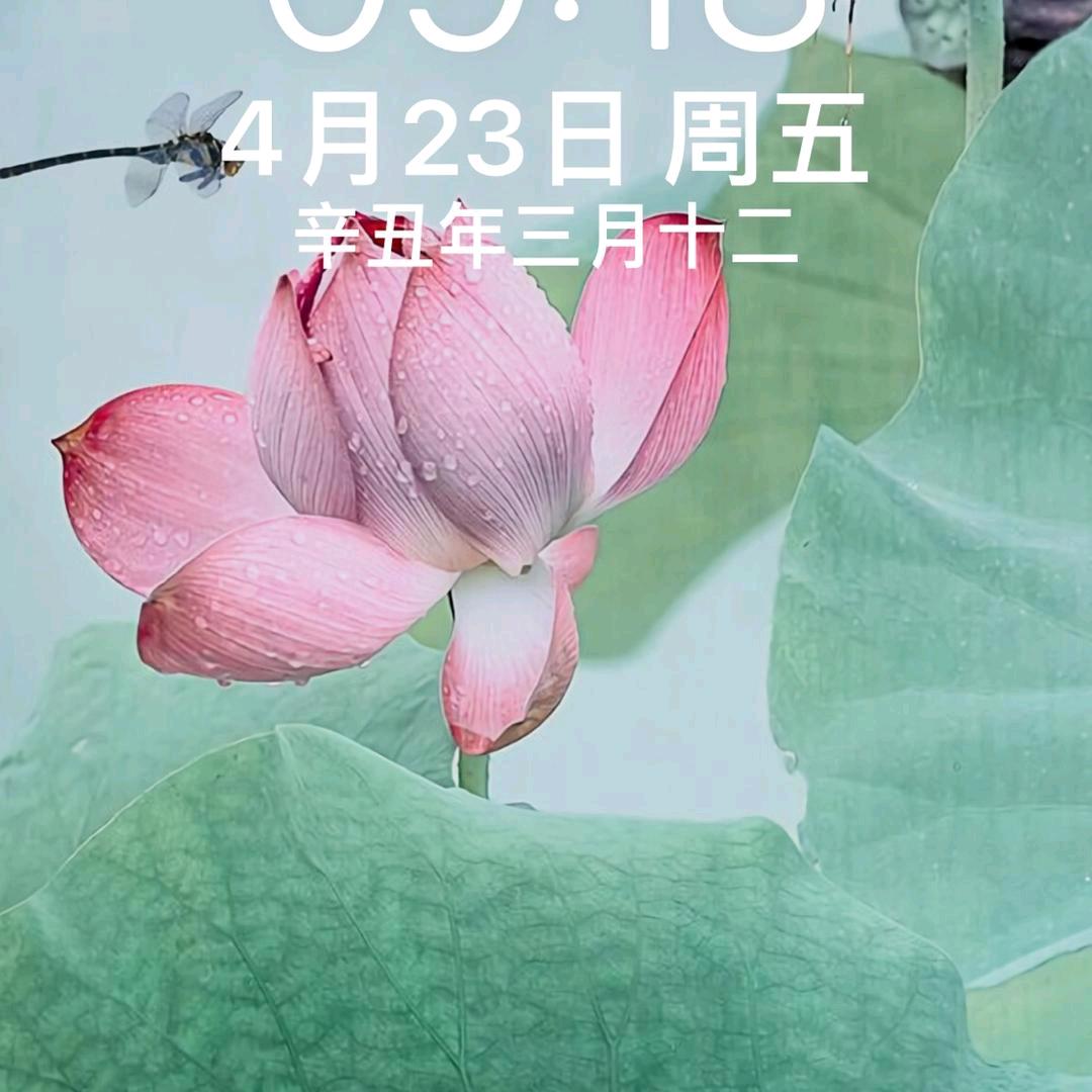 无忧