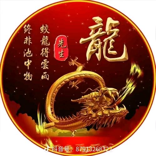 龑龍