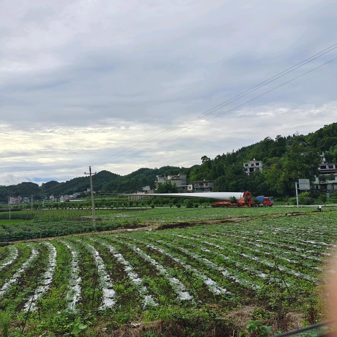 我的快乐就是泡妞。