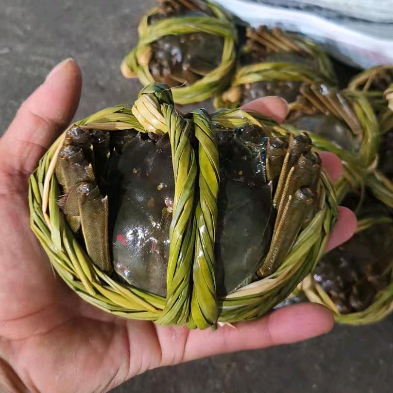 鲜小品大闸蟹钱桥店