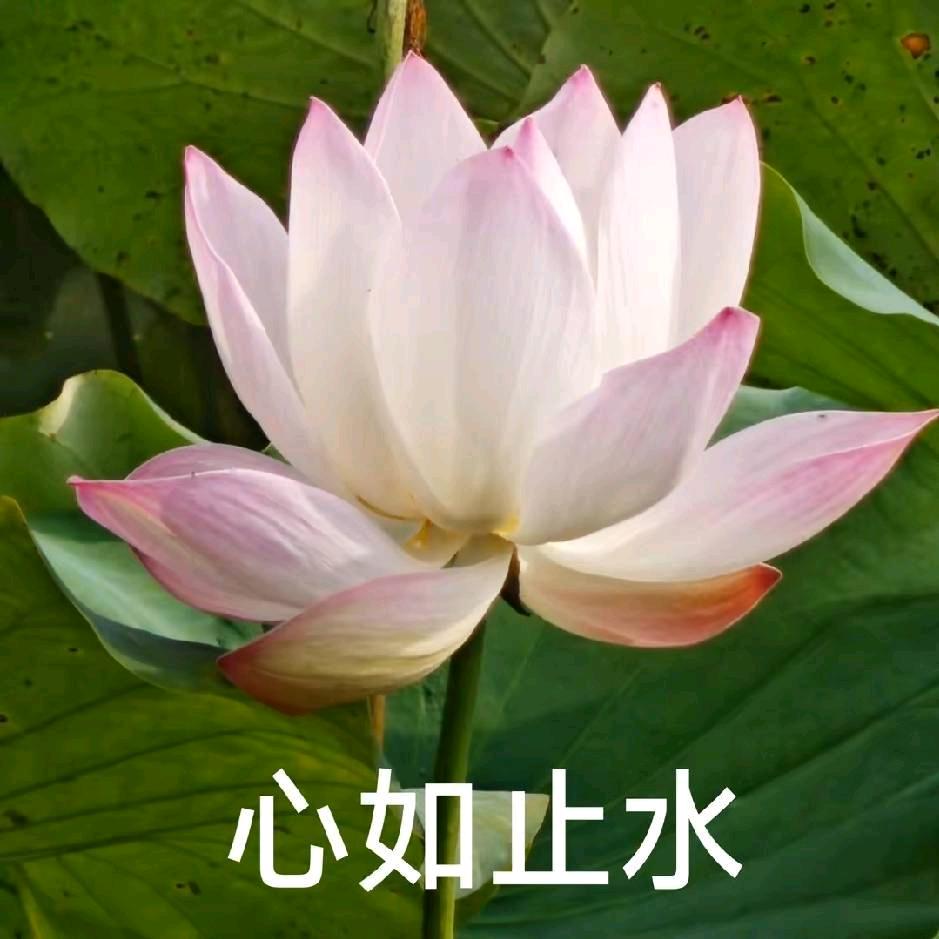 我就是我🌈🌈🌈