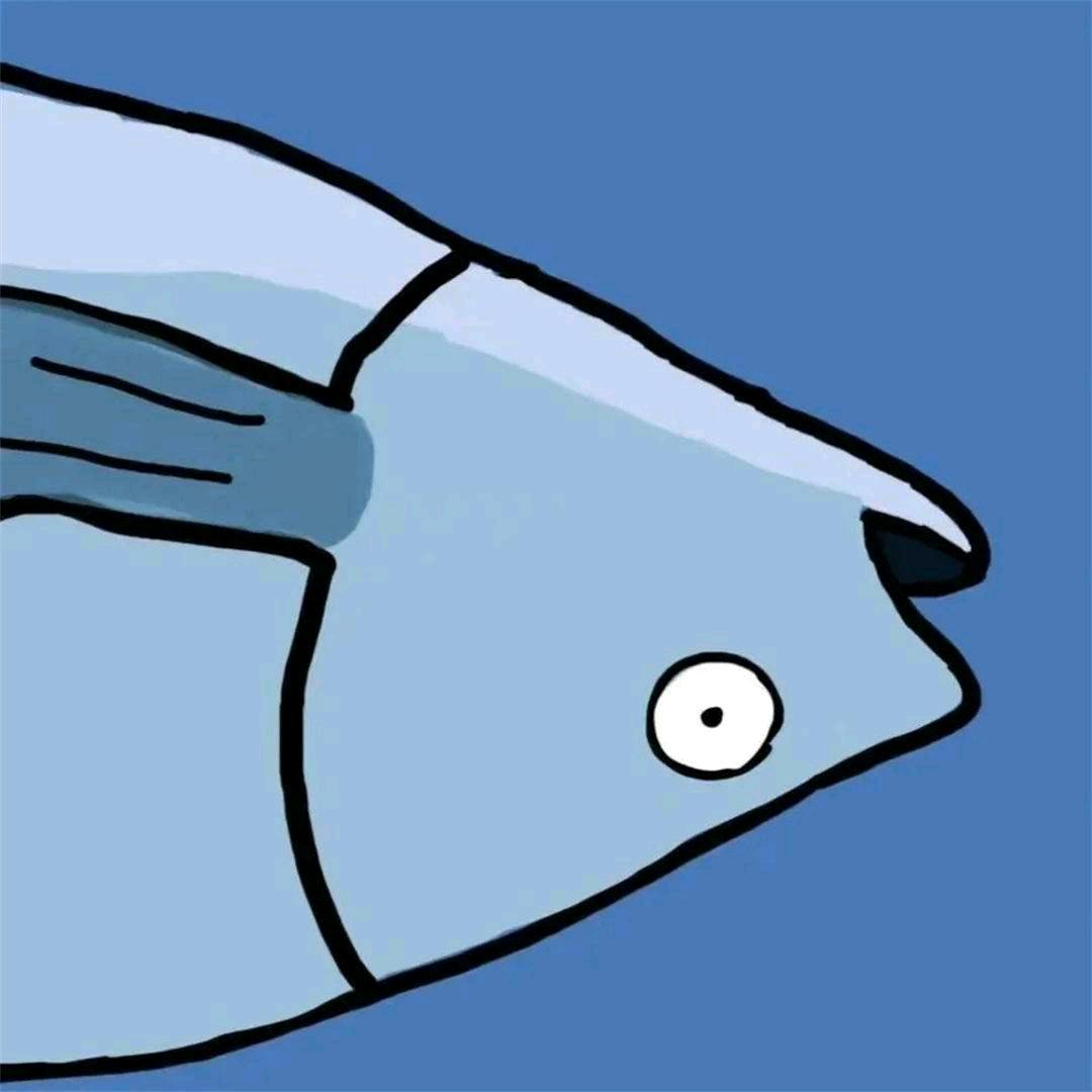 叽叽叽叽