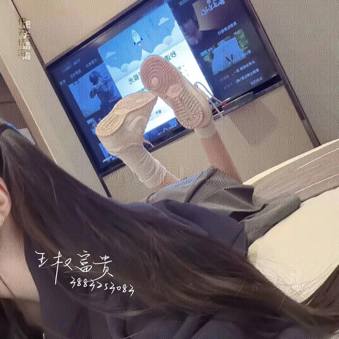 尤宝招财