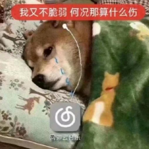 不要怕