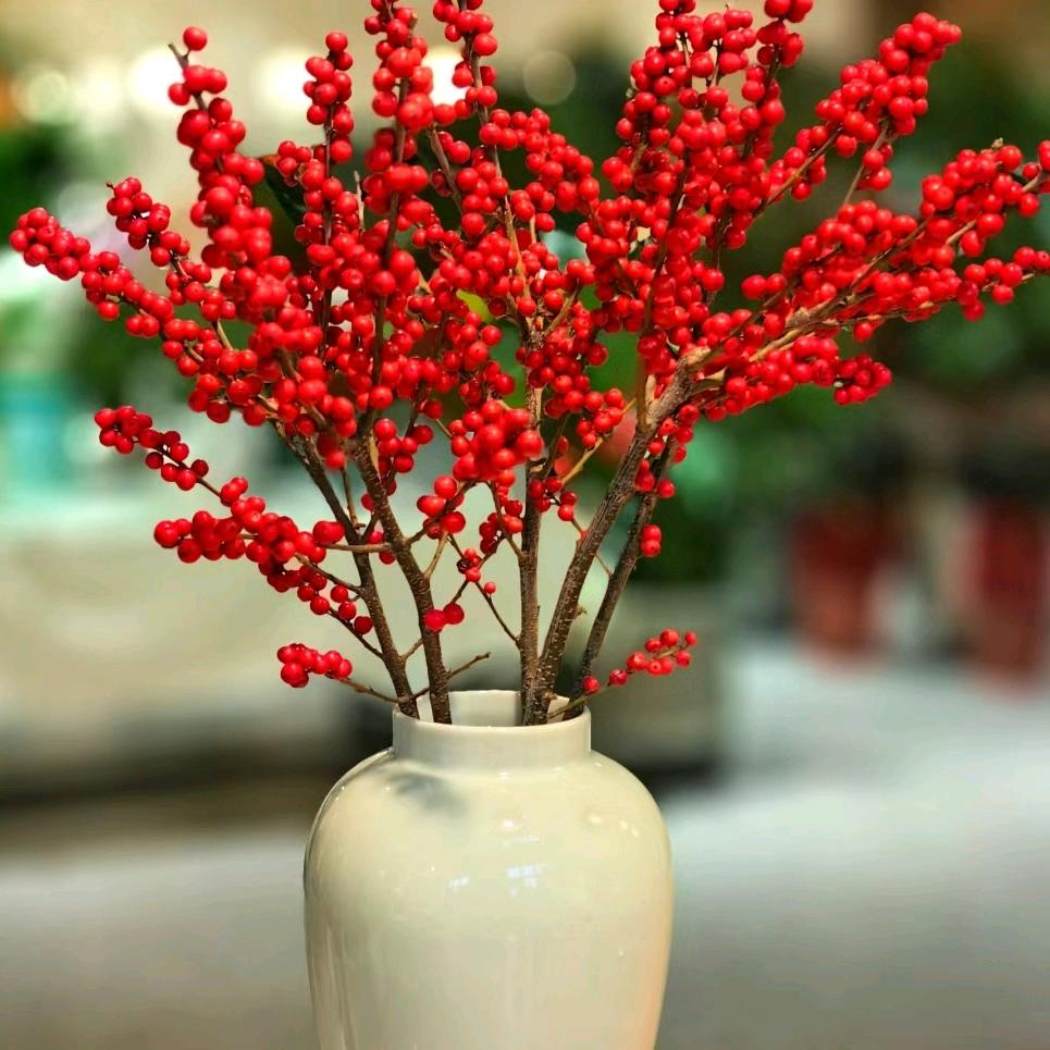 北美冬青花卉基地