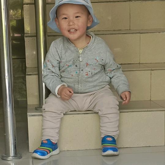 陶花逢雨欣艳丽