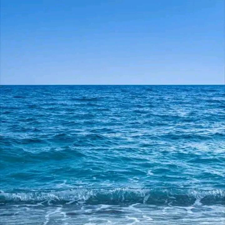 老蒋