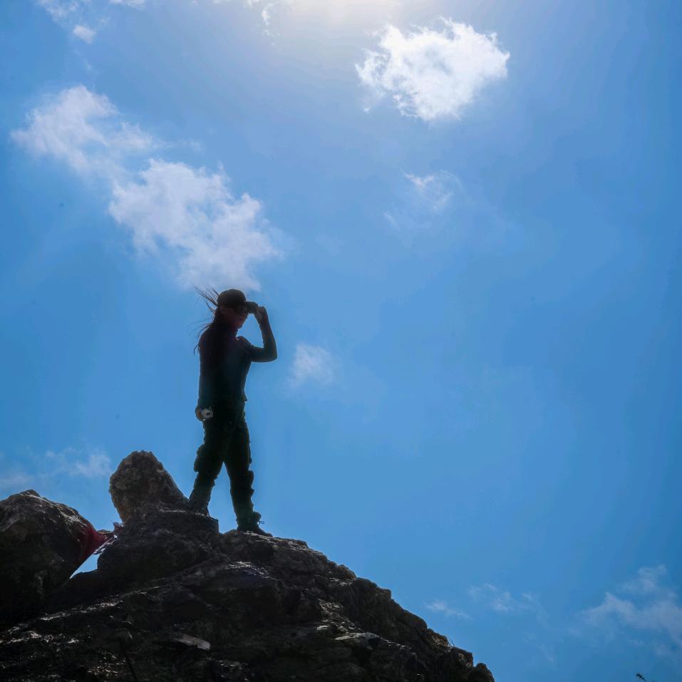 是🌸花花🌸呀