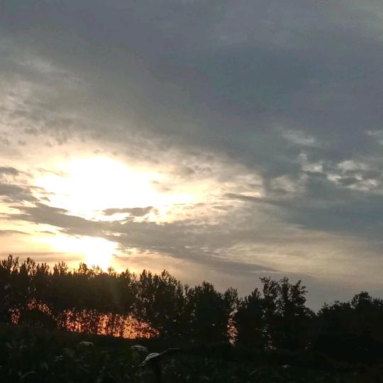 晨曦🌻🌻🌹🌹💐💐