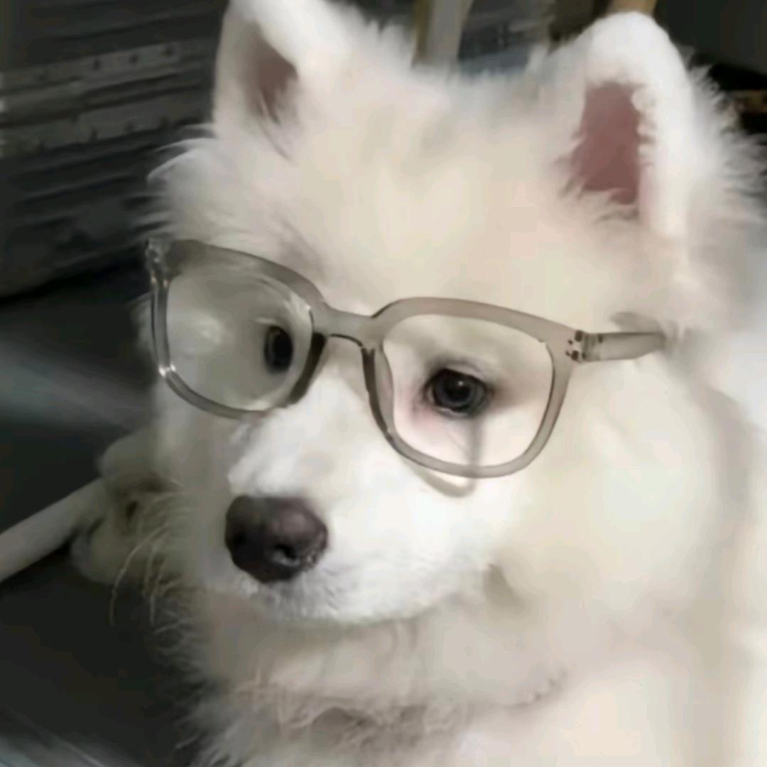 江不笑