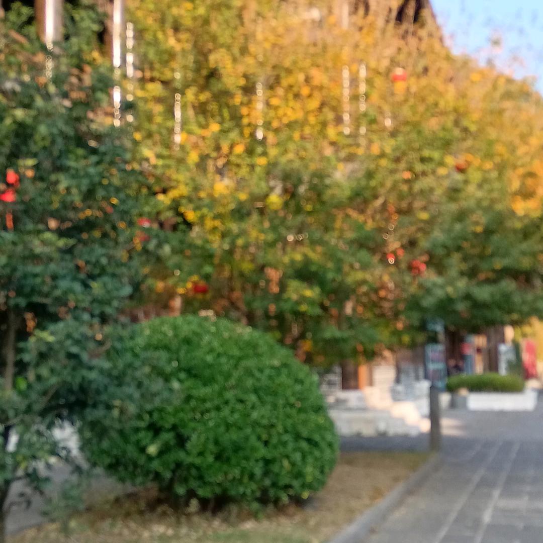 (贵州♡敏♡儿(. ❛ ᴗ ❛.)姐姐，