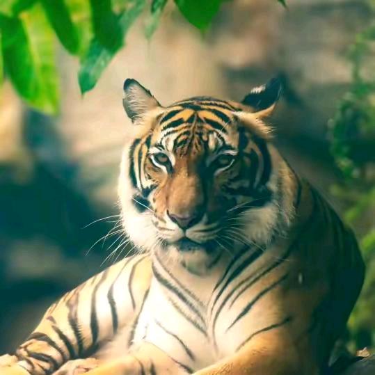 有些人能感受雨，而其他人则只是被淋湿