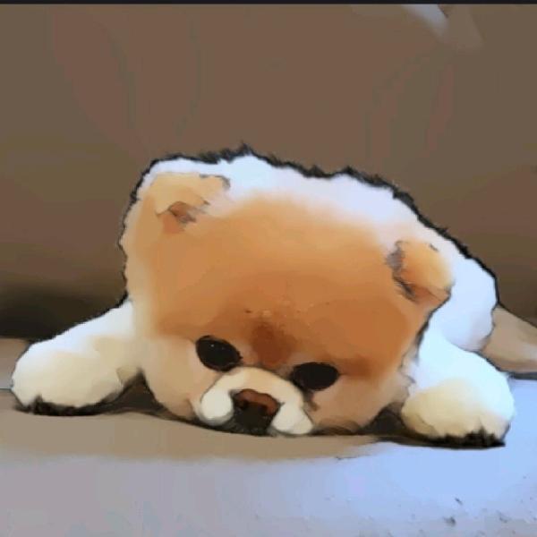 杰明杰明