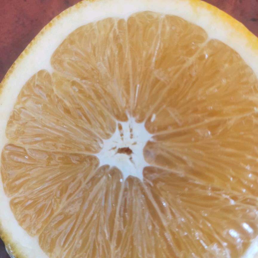 玉🍊