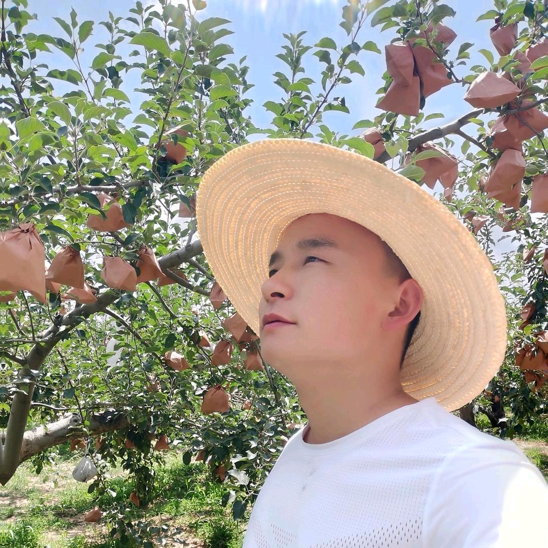 杨小博