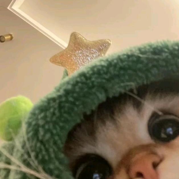 蜜兮/